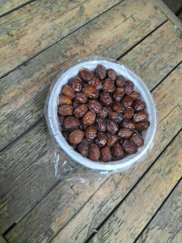 خرمای خاصویی پولادگر ۹۰۰ گرمی