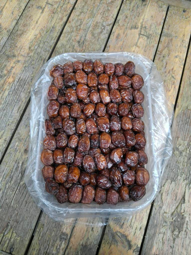 خرمای خاصویی پولادگر ۱۶۰۰ گرمی